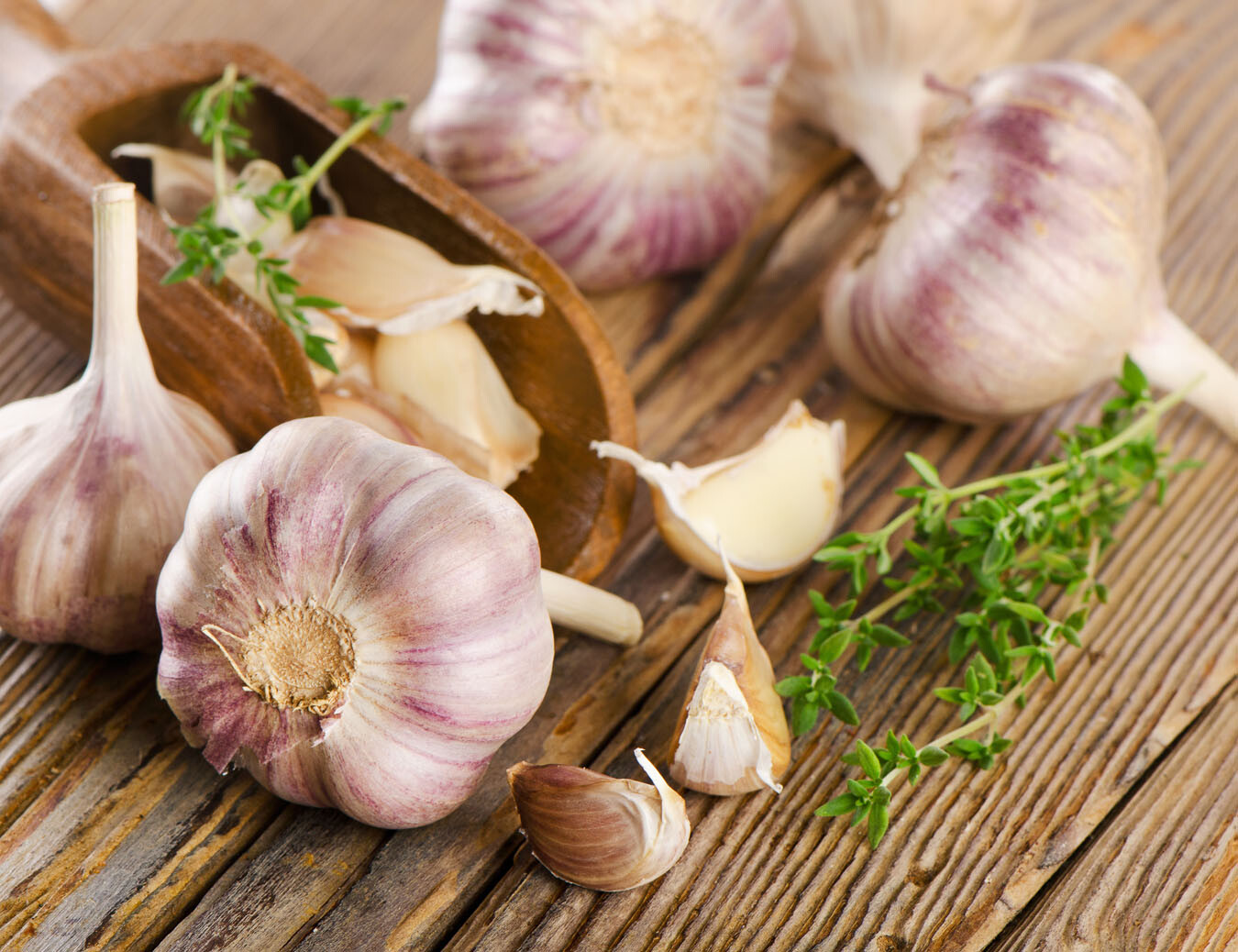 Uralte Heiltradition: Knoblauch gibt Kraft und Gesundheit
